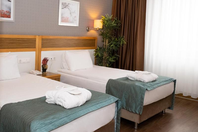 Standard Double or Twin Room image 4