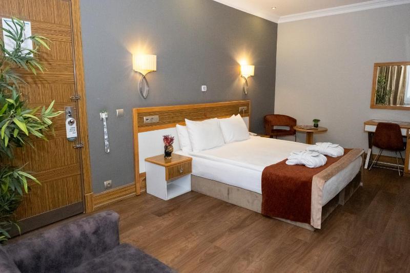 Double Room - Disability Access image 3