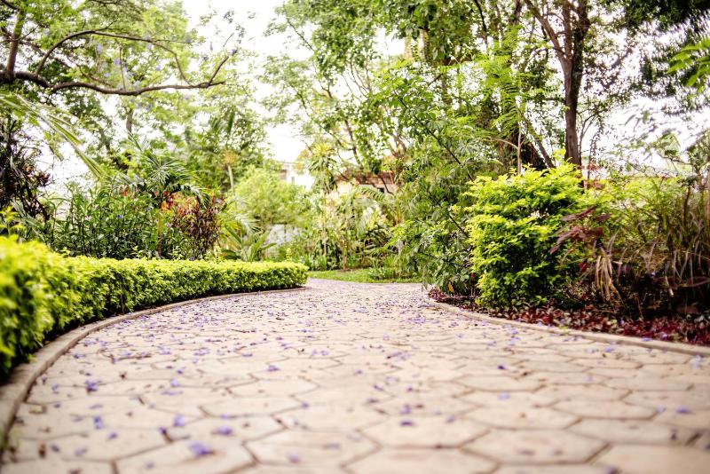Résidence Jardin de l'Ikopa - image 8