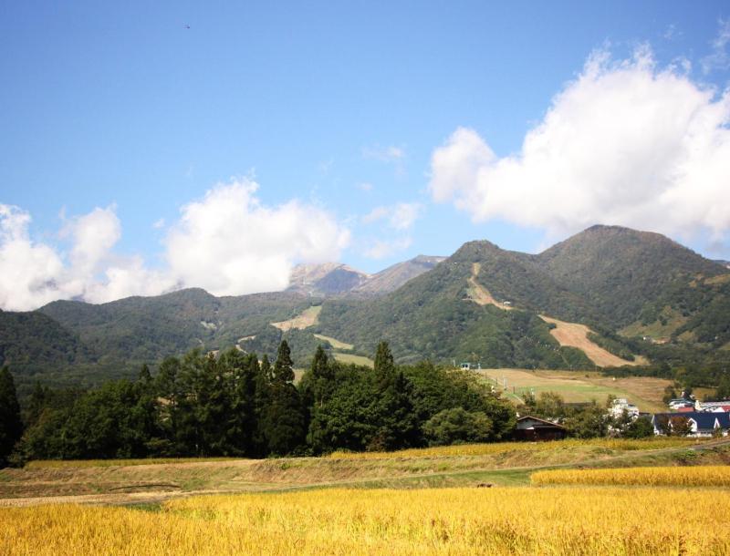 Hakuba Tsugaike Sunrise Tanne - image 24