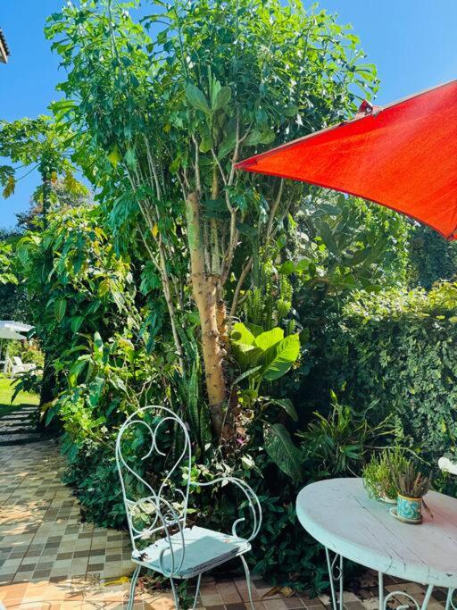Apart El Altillo loft ambientes abiertos 5 pax en Cataratas pileta compartida - image 26