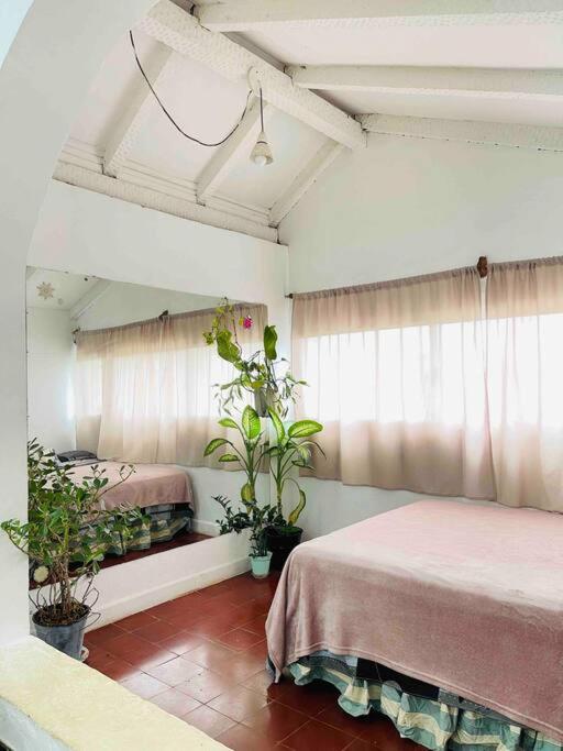 Apart El Altillo loft ambientes abiertos 5 pax en Cataratas pileta compartida - image 6