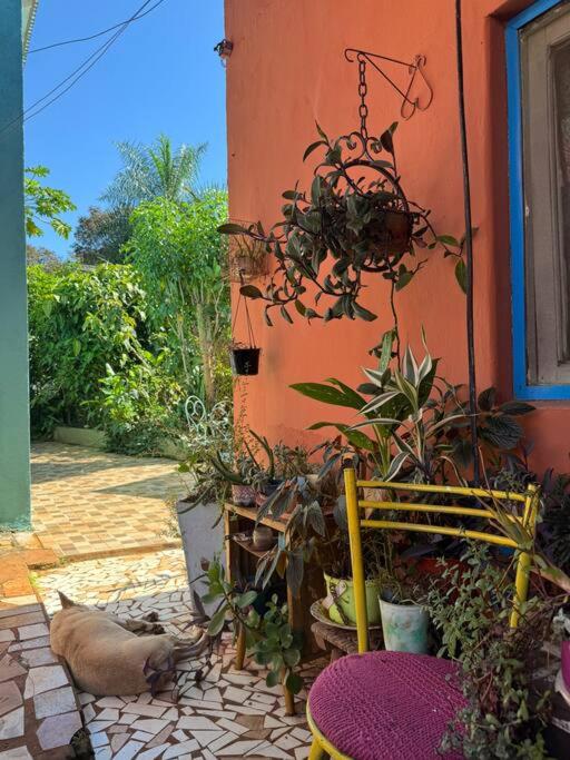 Apart El Altillo loft ambientes abiertos 5 pax en Cataratas pileta compartida - image 49