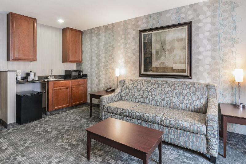 One-Bedroom Queen Suite with Sofa-Bed - Non-Smoking image 4