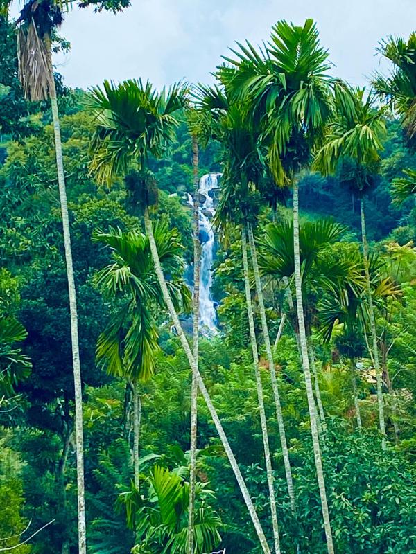 Cozy Homestay Waterfall Road Ella - image 36