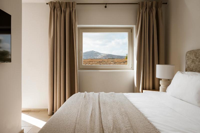 Superior Suite image 3