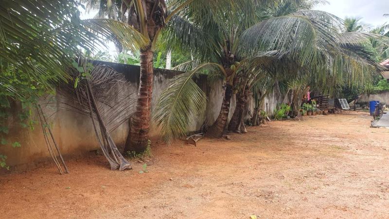Madiha Sampath Surf Villa - image 11