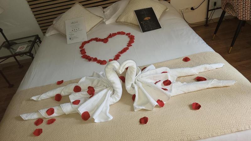 Hotel Ulysse Montpellier Centre - image 22