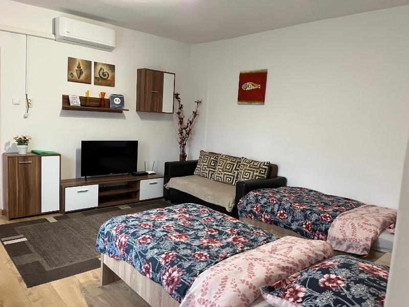 One-Bedroom Apartment image 2