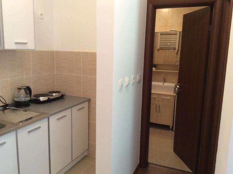 Deluxe Apartment image 4