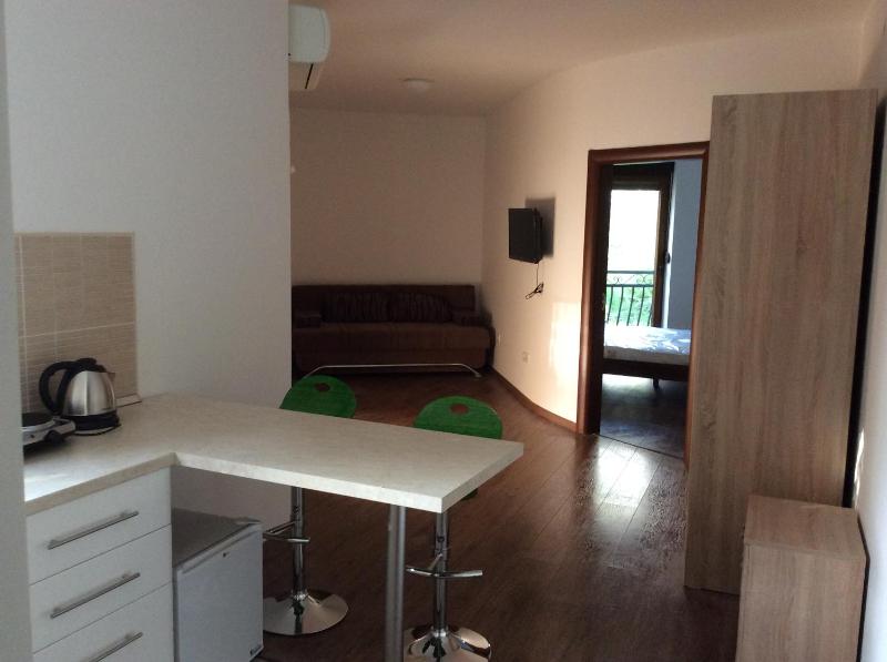 Economy Apartment image 4