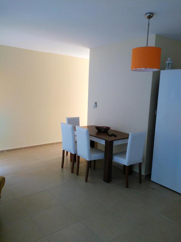 One-Bedroom Apartment image 4