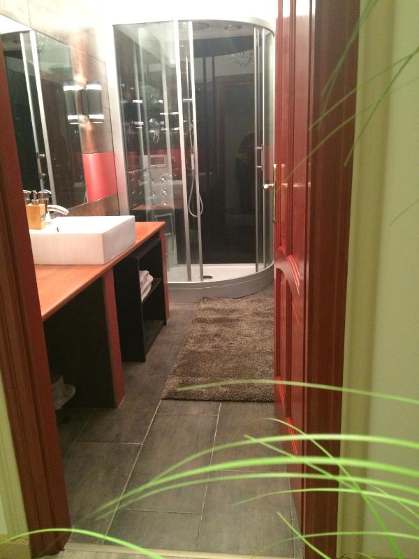 Apartment with Shower image 3