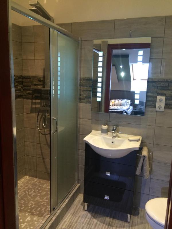 Apartment with Shower image 4