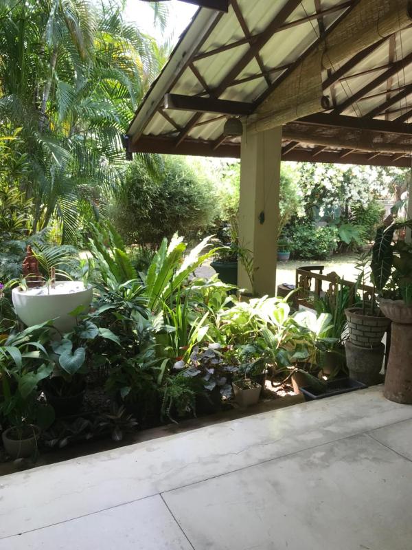 Tangalle Green House - image 3
