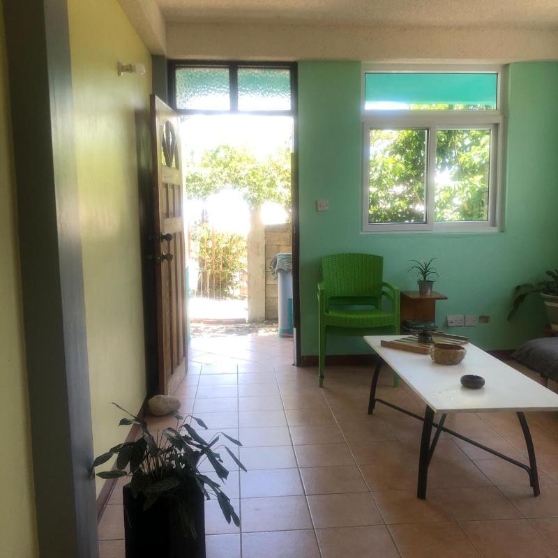 Joy's Apartment - image 16