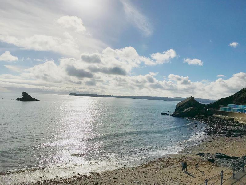Meadfoot Bay Apartment at Hesketh Crescent - image 17