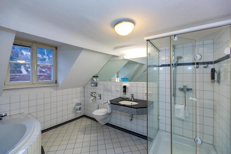 Hotel Goldener Falke - image 37