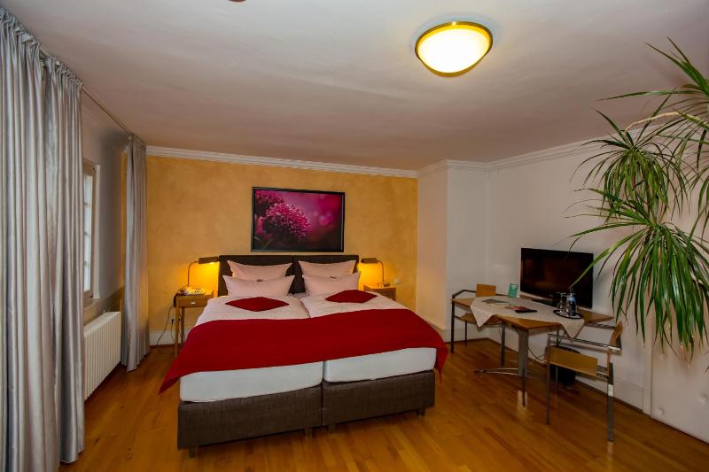Hotel Goldener Falke - image 36