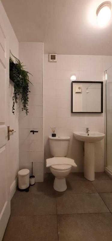 Temple Bar apartment by DublinExchangeSuites - image 9