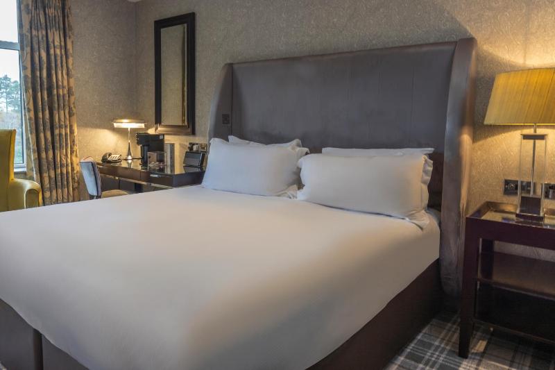 Superior King Room image 3