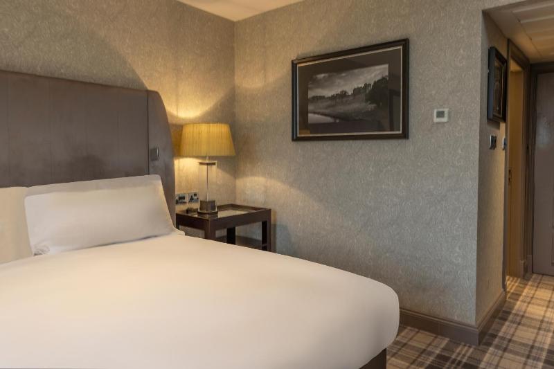Superior King Room image 4