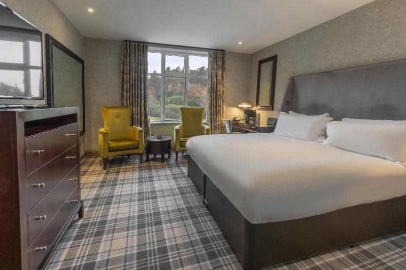 Superior King Room image 1