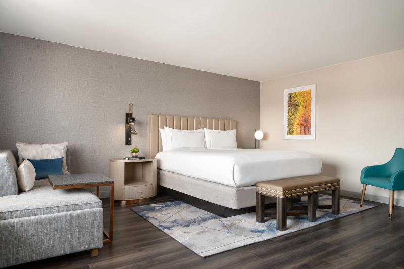Deluxe King Room image 2