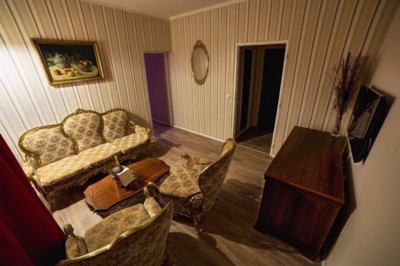 Comfort Apartment image 2