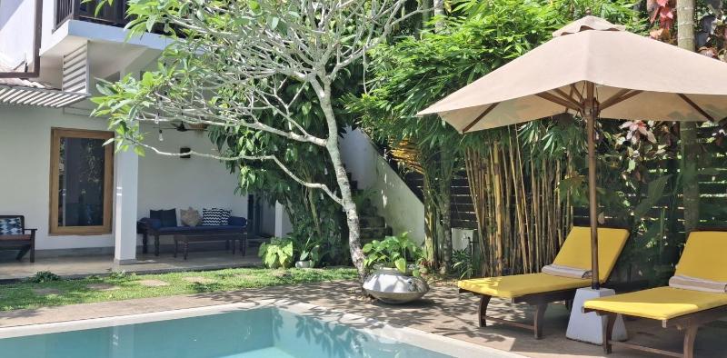 The Secret Guesthouse - image 14