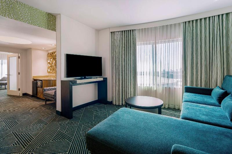 Deluxe King Suite image 3