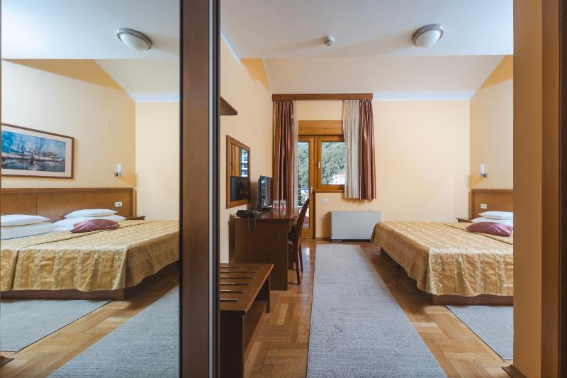 Double or Twin Room image 3