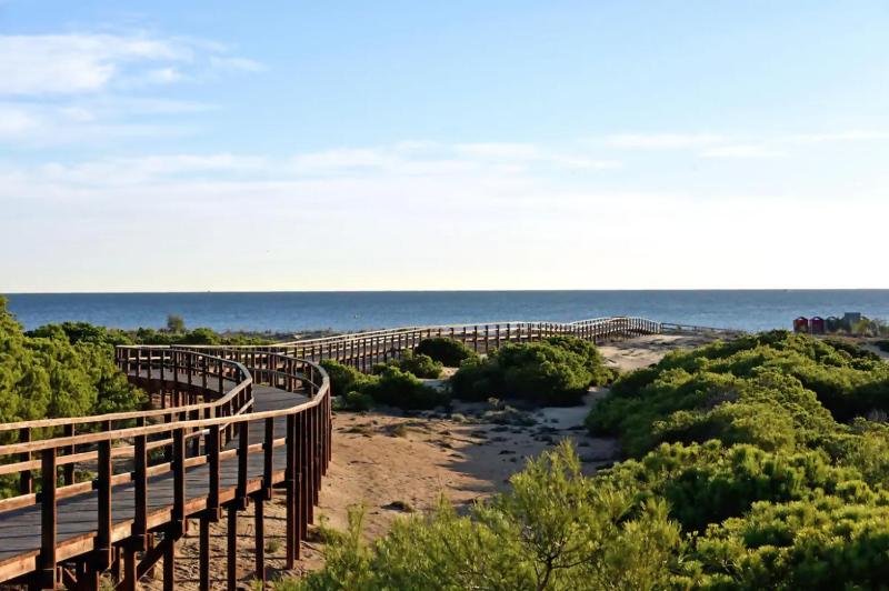 Stay in Novamar III - image 41