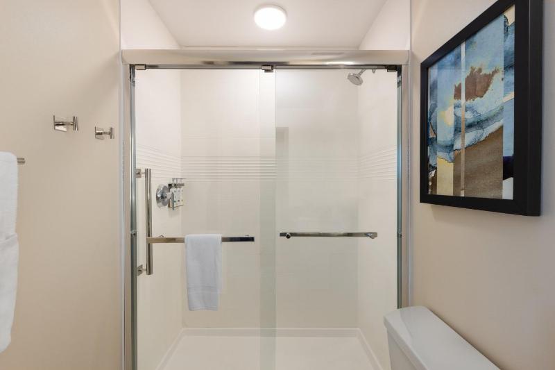 King Studio Suite image 2