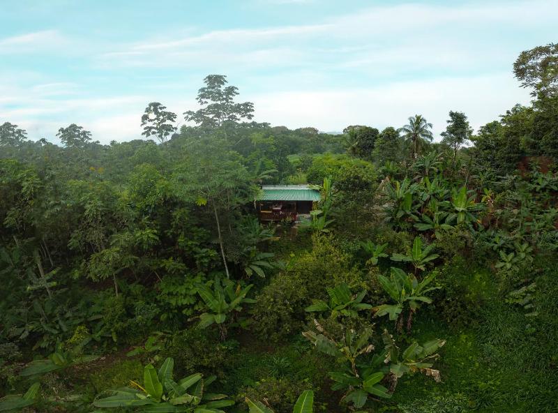 Edén Bungalow A Paradise in La Fortuna! - image 15