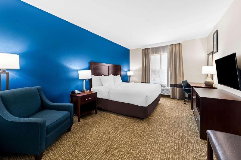 King Room - Non-Smoking image 1