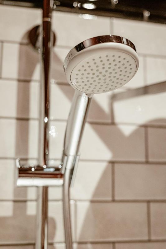 Luxury Suite image 2