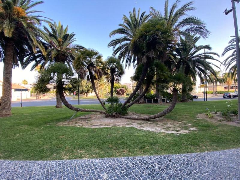 Tropical Loft - image 17