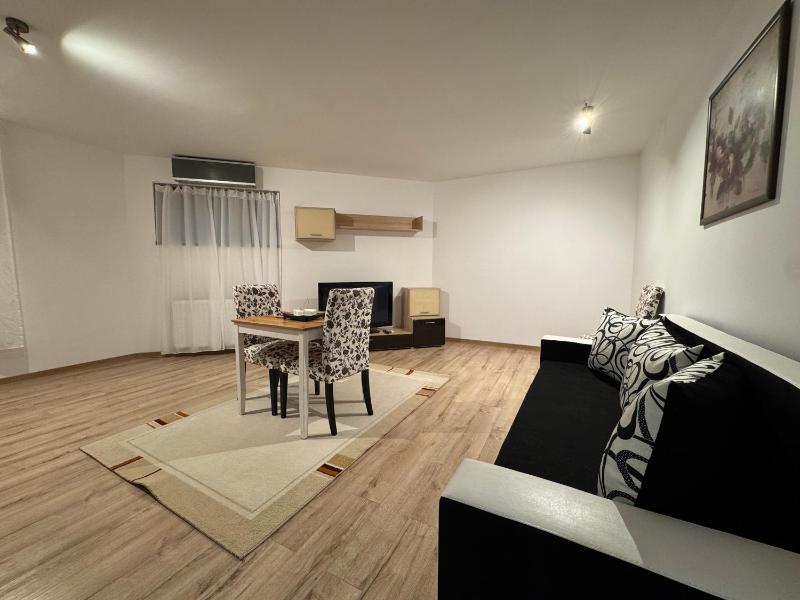 One-Bedroom Standard Apartment image 4