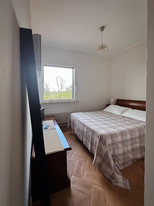 Single Room image 2