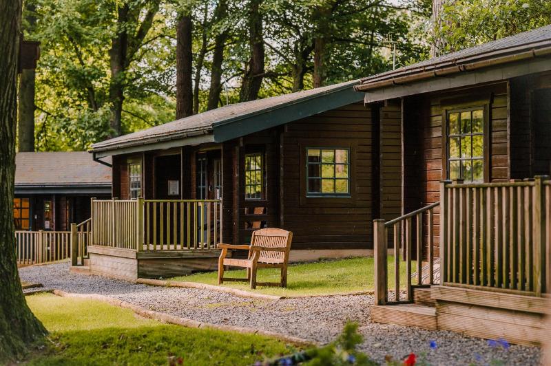 Scandinavian Log Cabin - Wheelchair Friendly - Premier image 3