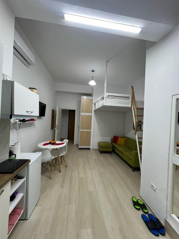 Comfy Studio APT close to Lake Park - image 8