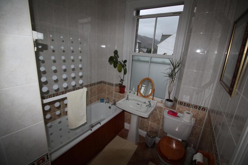 Bluestones - image 17