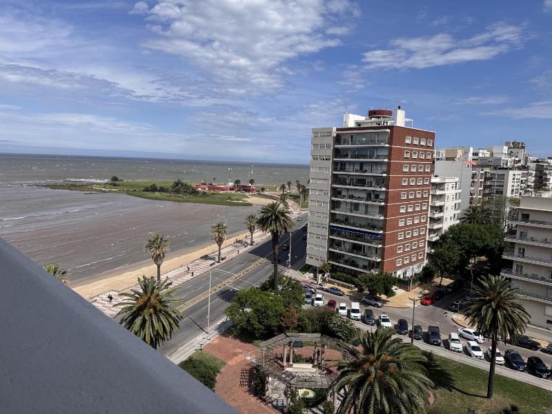 Rambla Estudio - image 13