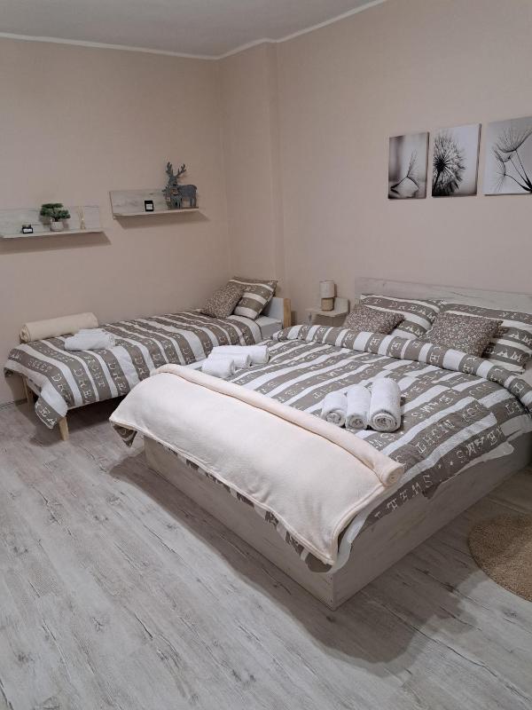 Apartman Dream M Zaječar - image 10