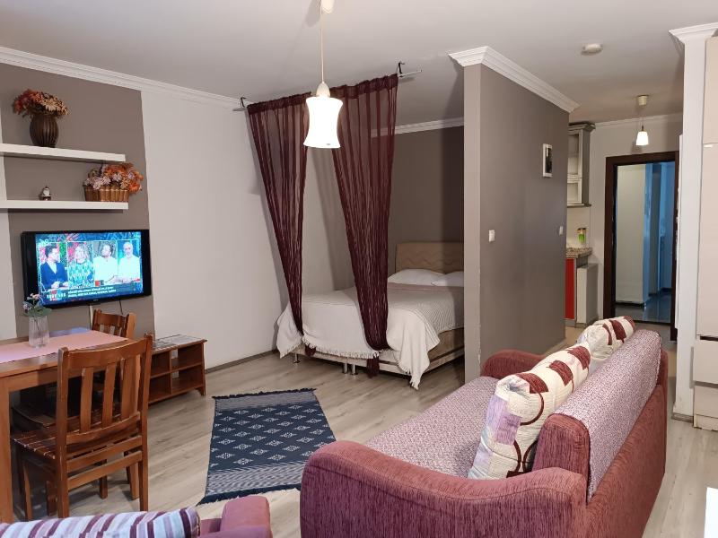 One-Bedroom Apartment image 2