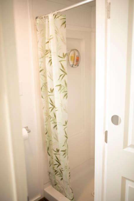 One-Bedroom Apartment image 4