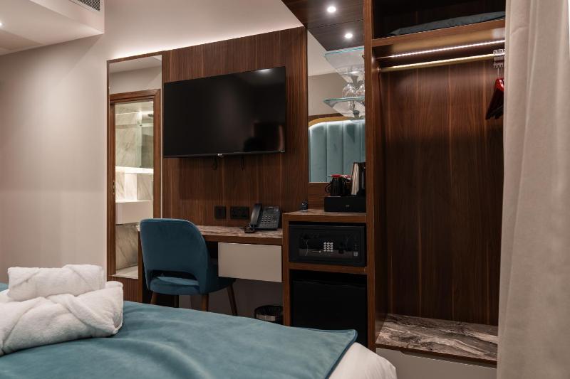 Deluxe Double or Twin Room image 4