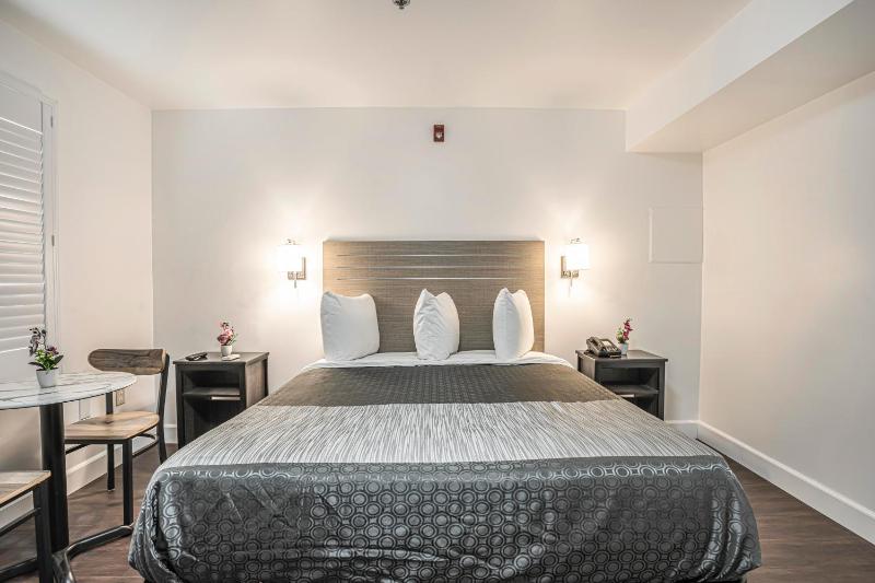 Single Room - Disability Access image 3