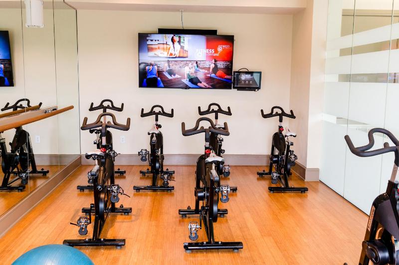 Gorgeous Furnished Apartments near Texas Medical Center & NRG Stadium - image 30